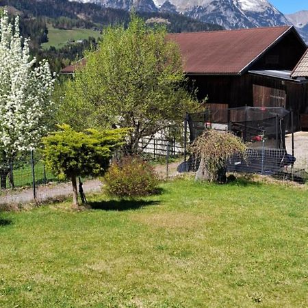 Appartement Winteraugut Werfen Kültér fotó