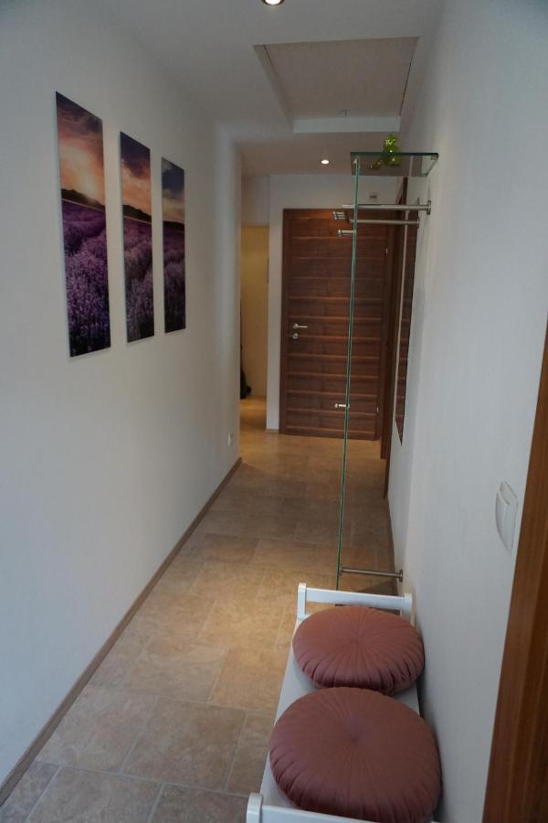 Appartement Winteraugut Werfen Kültér fotó