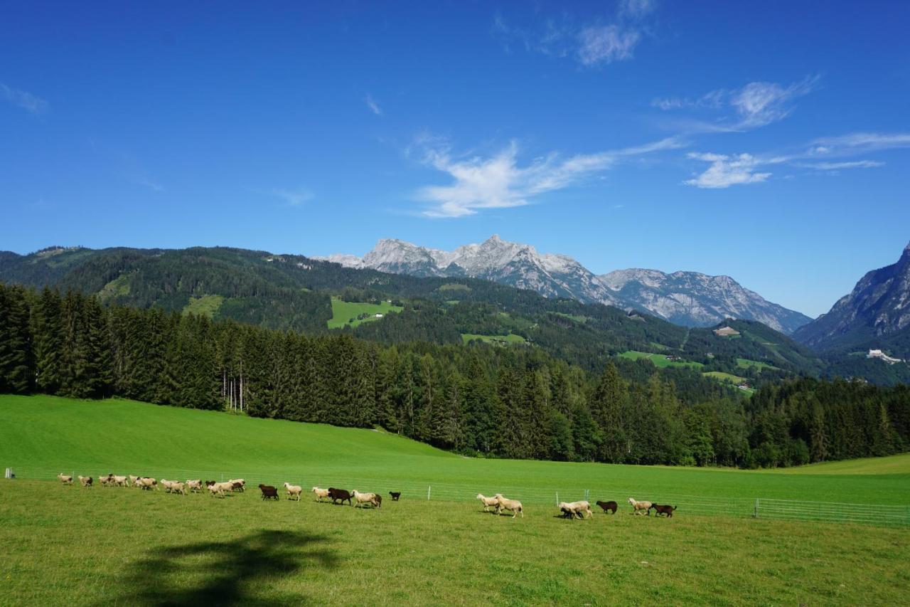 Appartement Winteraugut Werfen Kültér fotó
