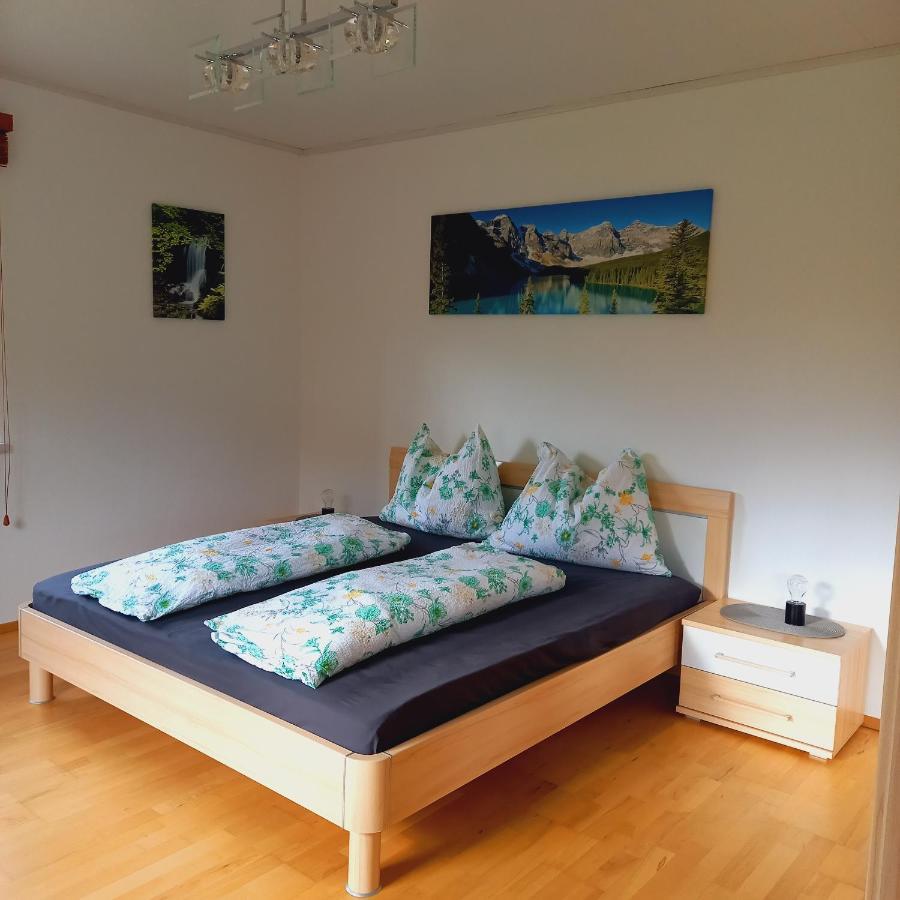Appartement Winteraugut Werfen Kültér fotó
