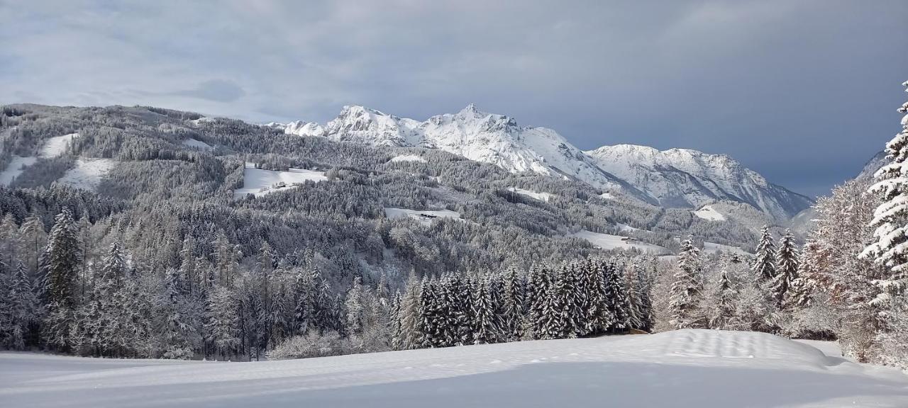 Appartement Winteraugut Werfen Kültér fotó