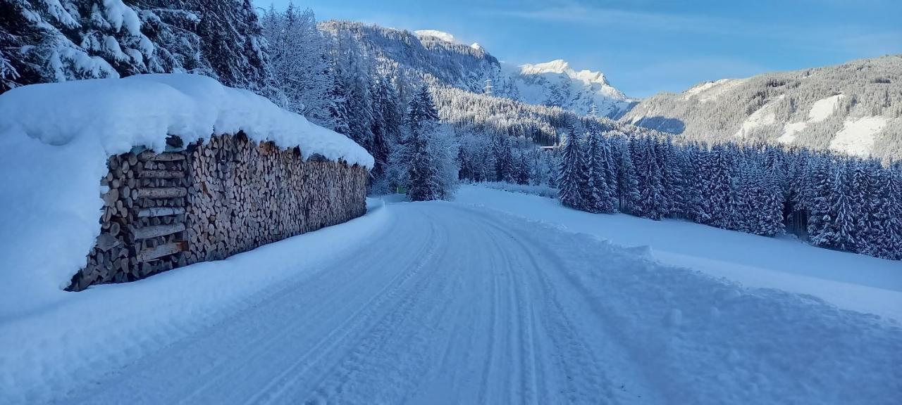 Appartement Winteraugut Werfen Kültér fotó