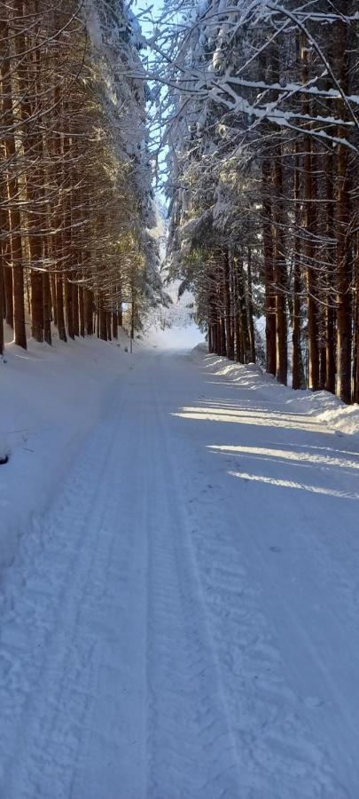 Appartement Winteraugut Werfen Kültér fotó