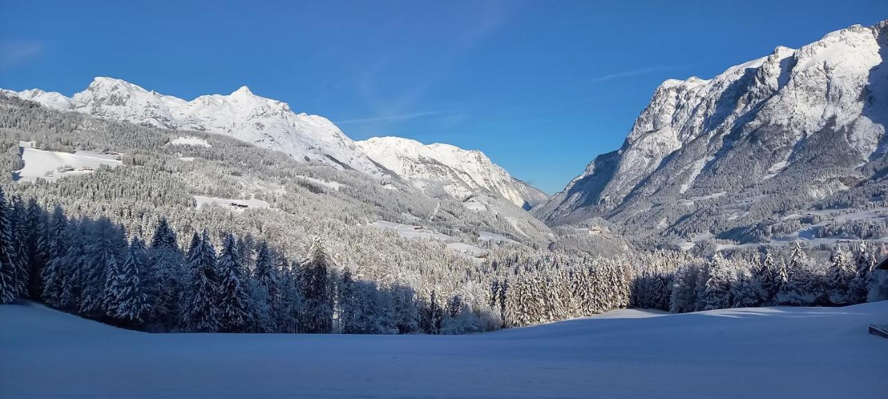 Appartement Winteraugut Werfen Kültér fotó